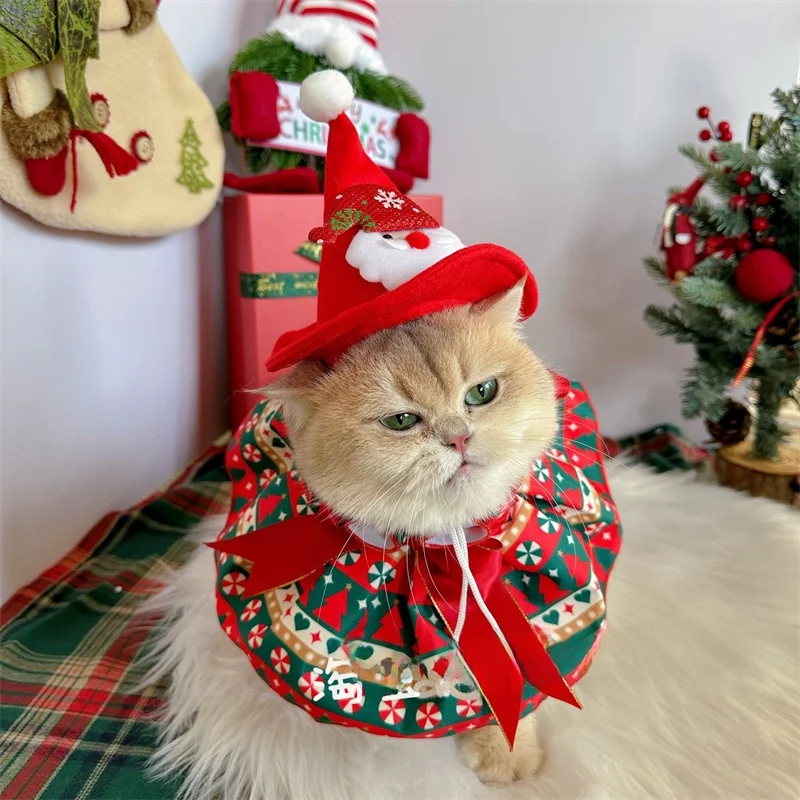 クリスマスに犬に着せたい「サンタ服」は、どう選ぶ？