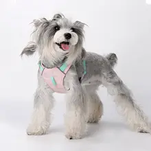 ペット用ハーネス【防水・大型犬対応・散歩用リード付き】