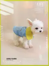 デニム風花柄刺繍ポケット付き小型犬猫用翻領パーカー【春秋用・リード付き】