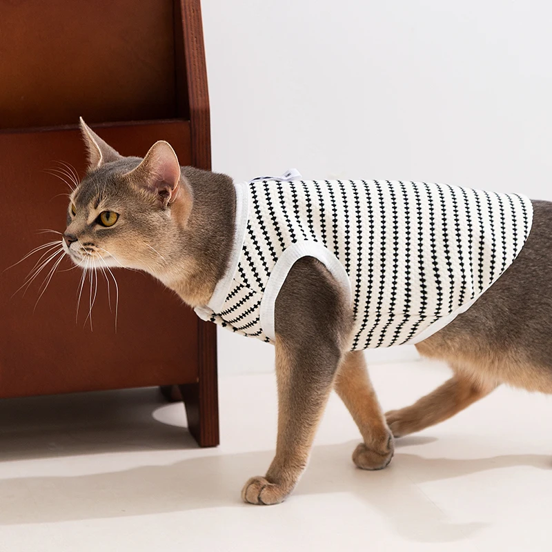猫飼いが買ってよかったもの・悪かったもの正直に言う｜春夏服の実測ガイド