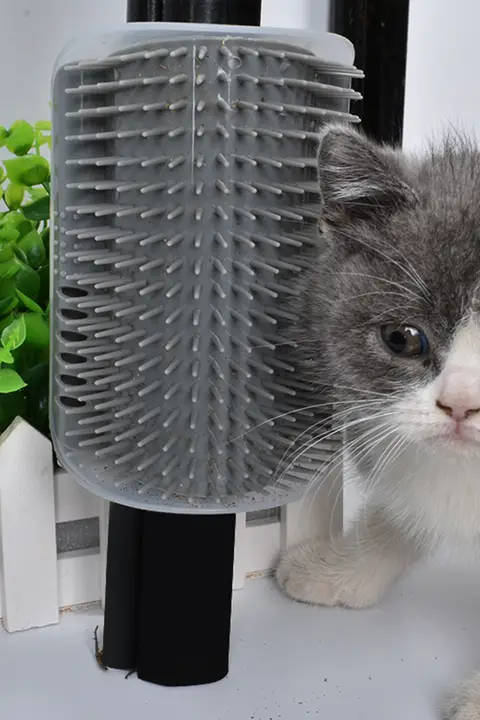 猫用 壁掛け毛ブラシ【マッサージ機能・グルーミング用・キャットボード】