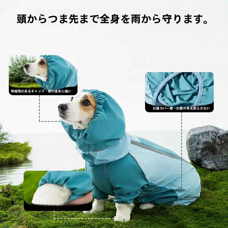 犬のお散歩グッズをコスパ良く揃える方法 - 防水フルカバー雨具のサイズ・色・メンテナンス
