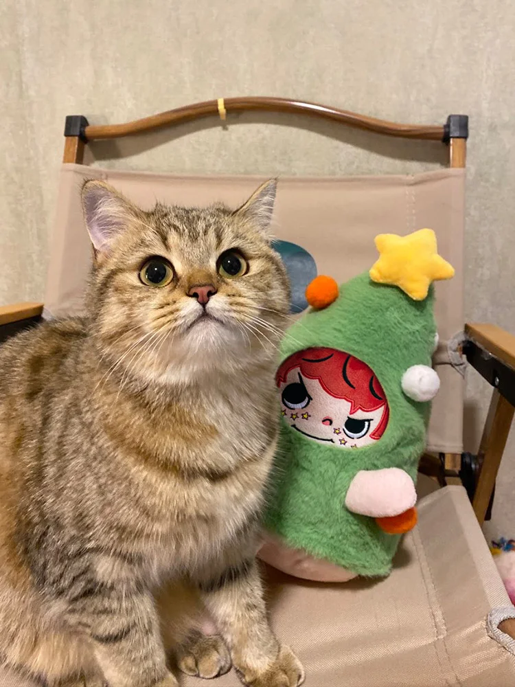 A3ちびぐるみとクリスマスおもちゃの選び方で迷うなら、この妖精ぬいぐるみが救う！