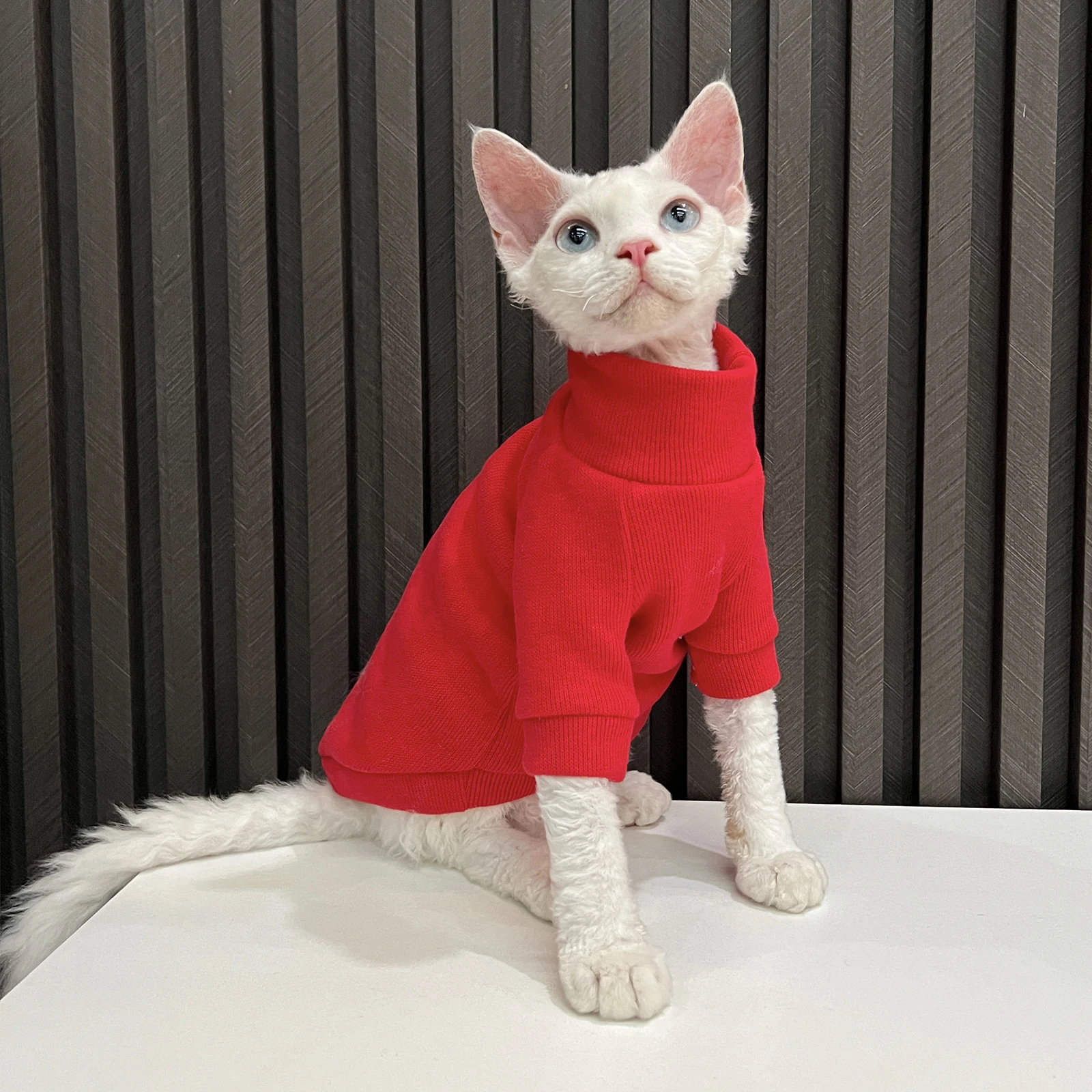 暖かさとスタイルを両立する猫用フリースセーター：一人暮らしに最適な無毛猫向けアイテム