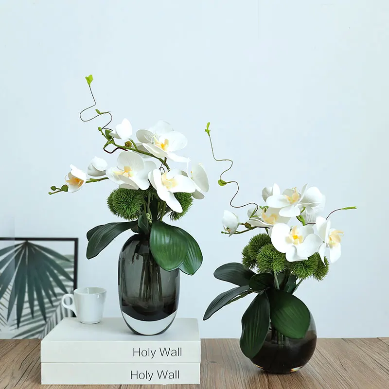 おしゃれな部屋に観葉植物を飾るなら、この1品が今最もおすすめ？