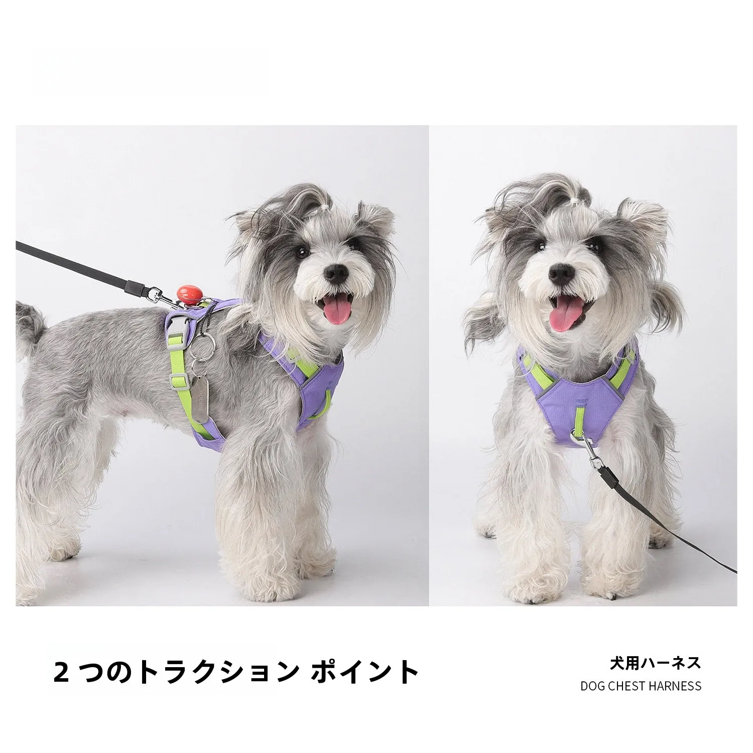 大型犬用防水ハーネス：散歩用リード付きで寒さ対策も