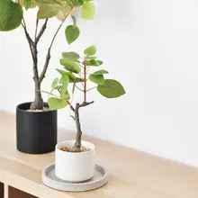 北欧風デスクトップ用フェイク植物【シンプルデザイン・観葉植物・インテリア装飾】