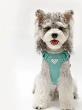 犬用ハーネス付きリード【大型犬・中型犬・小型犬対応】