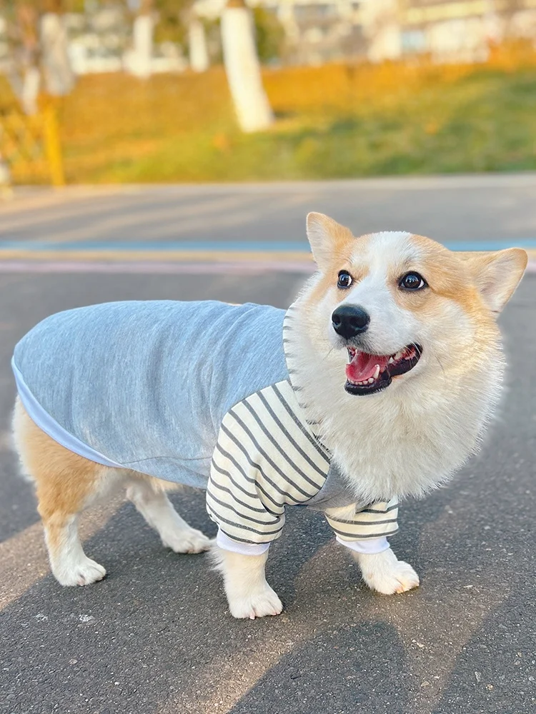 中型犬用フード付きペットウェア【春用・快適な着心地】の選び方と実用性