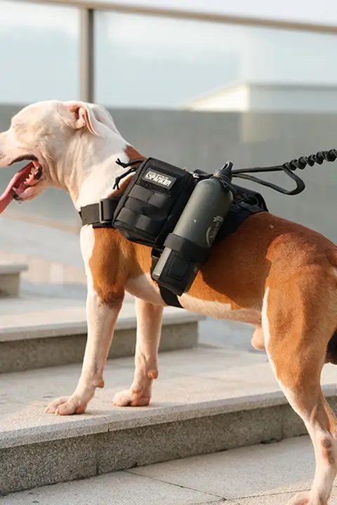 中大型犬用K9タクティカルトレーニングハーネス【リード付き・ペット服】
