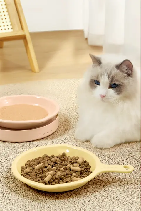 Mango ペット用平底陶器ボウル【猫用・犬用・多用途・食器・水用・耐熱】