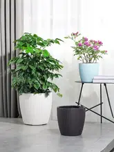 自吸水機能付き大容量プランター【二重層・樹脂製・花の水やり不要】