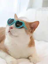 個性的なペット用サングラス【犬猫用・ハートデザイン・フォトプロップス】