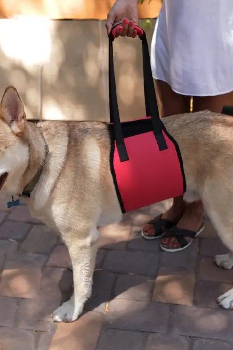 ペット用補助安全帯【ミディアムから大型犬用・老犬・障害犬・肩掛けタイプ】