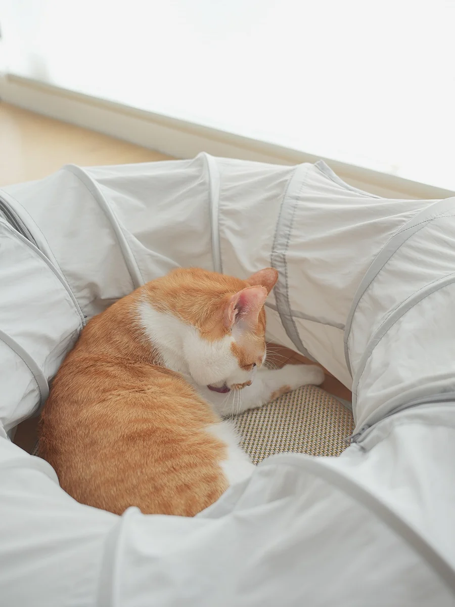 猫トンネル 手作りで失敗しない方法は？実際の使い心地とおすすめの選び方を徹底解説