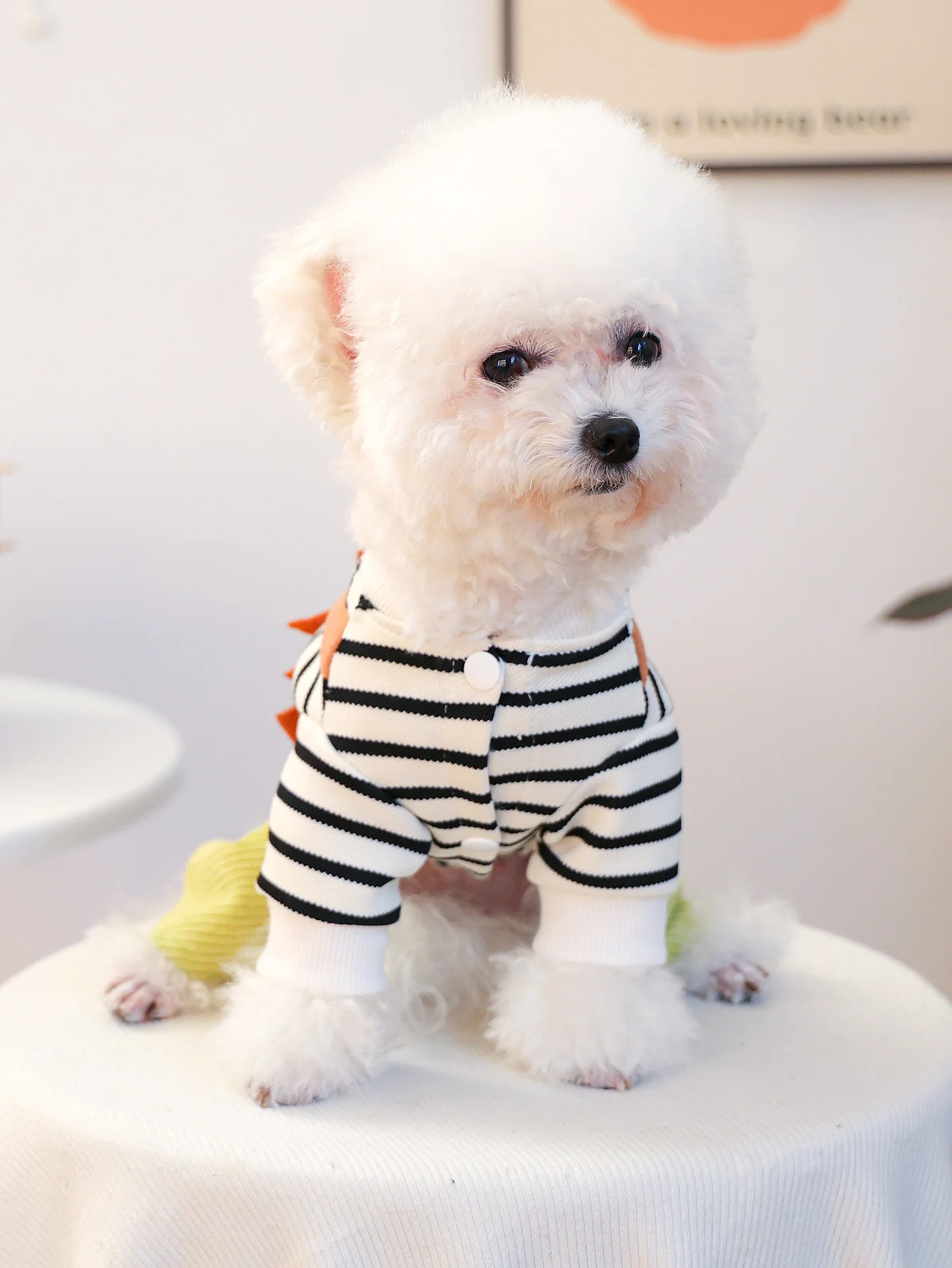 犬用恐竜柄オールインワン服：春秋期のアウトドアシーンに最適なデザインと耐久性