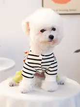 犬用恐竜柄オールインワン服【春秋用・リード付き・かわいいデザイン】