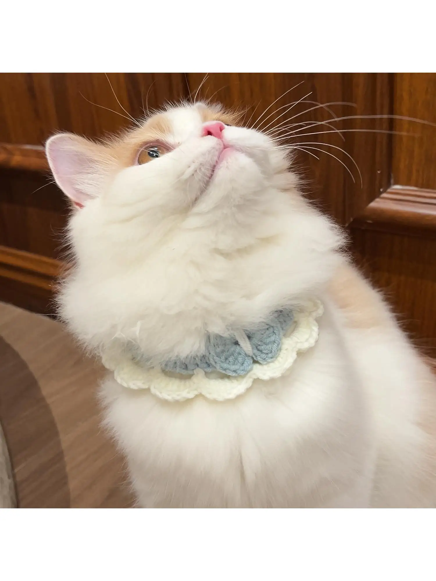 ハンドメイドペット用品の作り方で失敗しない方法は？