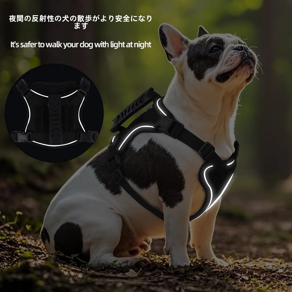 犬のお散歩グッズをコスパ良く揃える方法｜タクティカルハーネスの実測ガイド