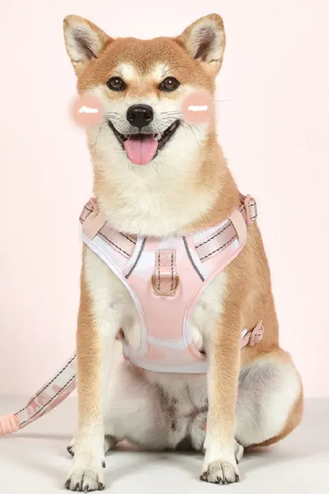 ペット用 中型・大型犬用ハーネス付きリード【胸部固定・移動用・軽量】