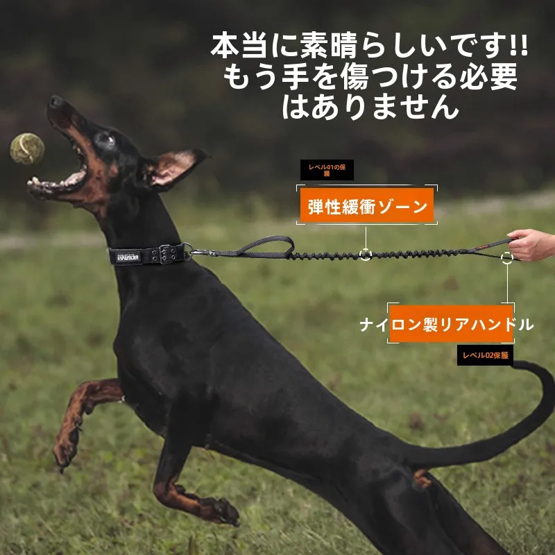 犬のお散歩グッズをコスパ良く揃える方法｜二重リングリードで解決する5大悩み