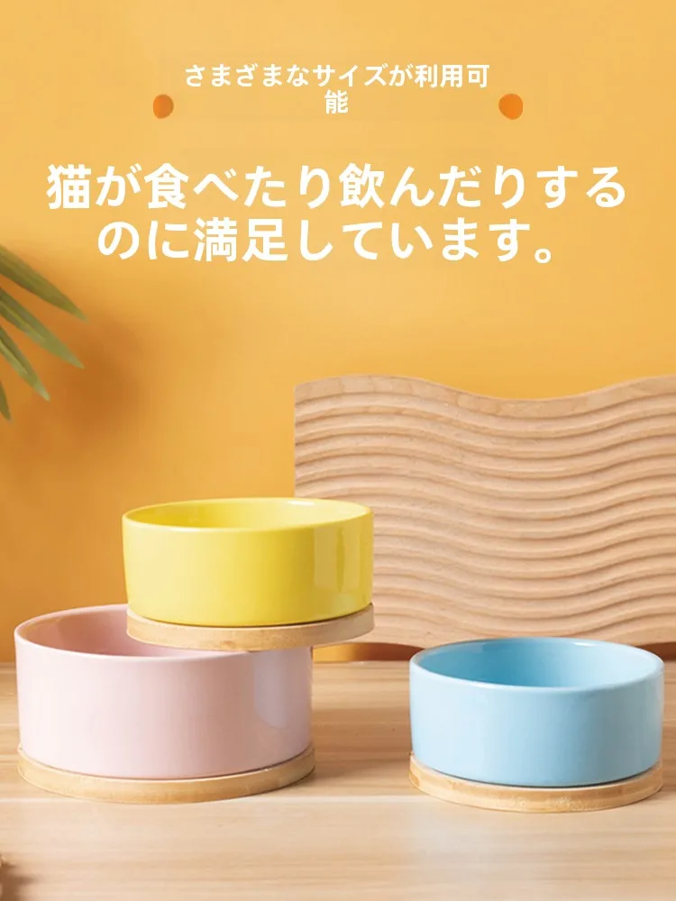 猫飼いが買ってよかったもの・悪かったもの正直に言う｜温水給水器の実際の効果と選び方完全ガイド
