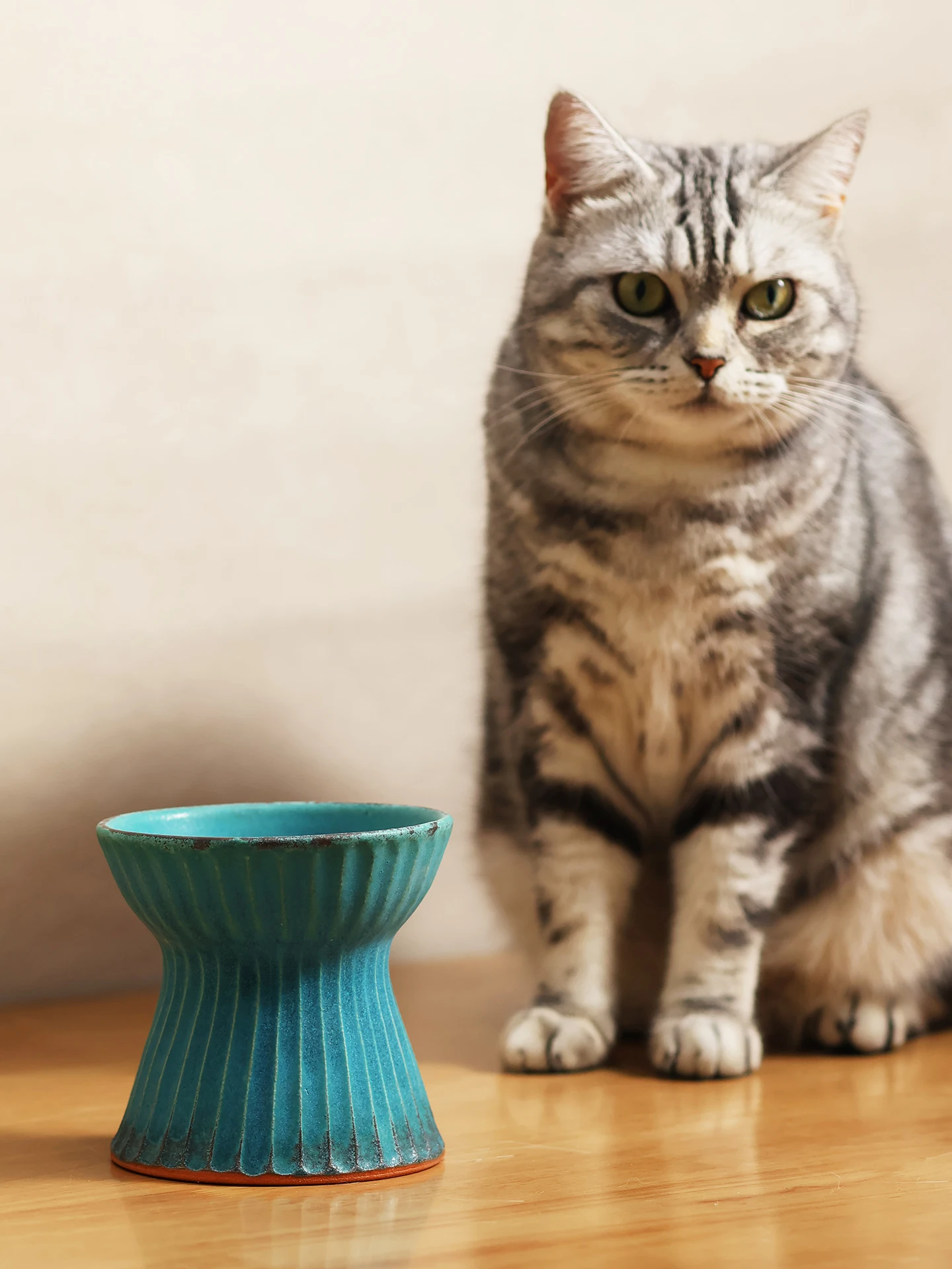 ヴィンテージ風の高脚猫用粗陶製ボウル：首を支えるデザインと転倒防止の実用性