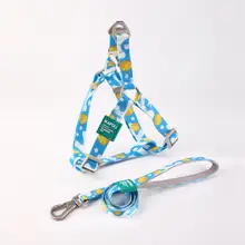 小型犬・中型犬用ペット用ハーネス リード付き【胸部バンドタイプ・散歩用】