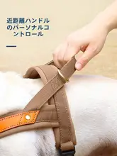 中型犬用防爆ハーネス付きリード【胸部装着・ペット用・散歩用】