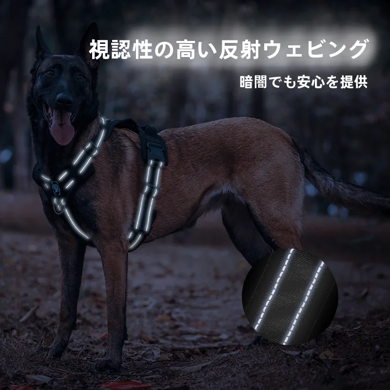 犬のお散歩グッズをコスパ良く揃える方法 - 反射材質の胸部ハーネスの安全機能とサイズ選定