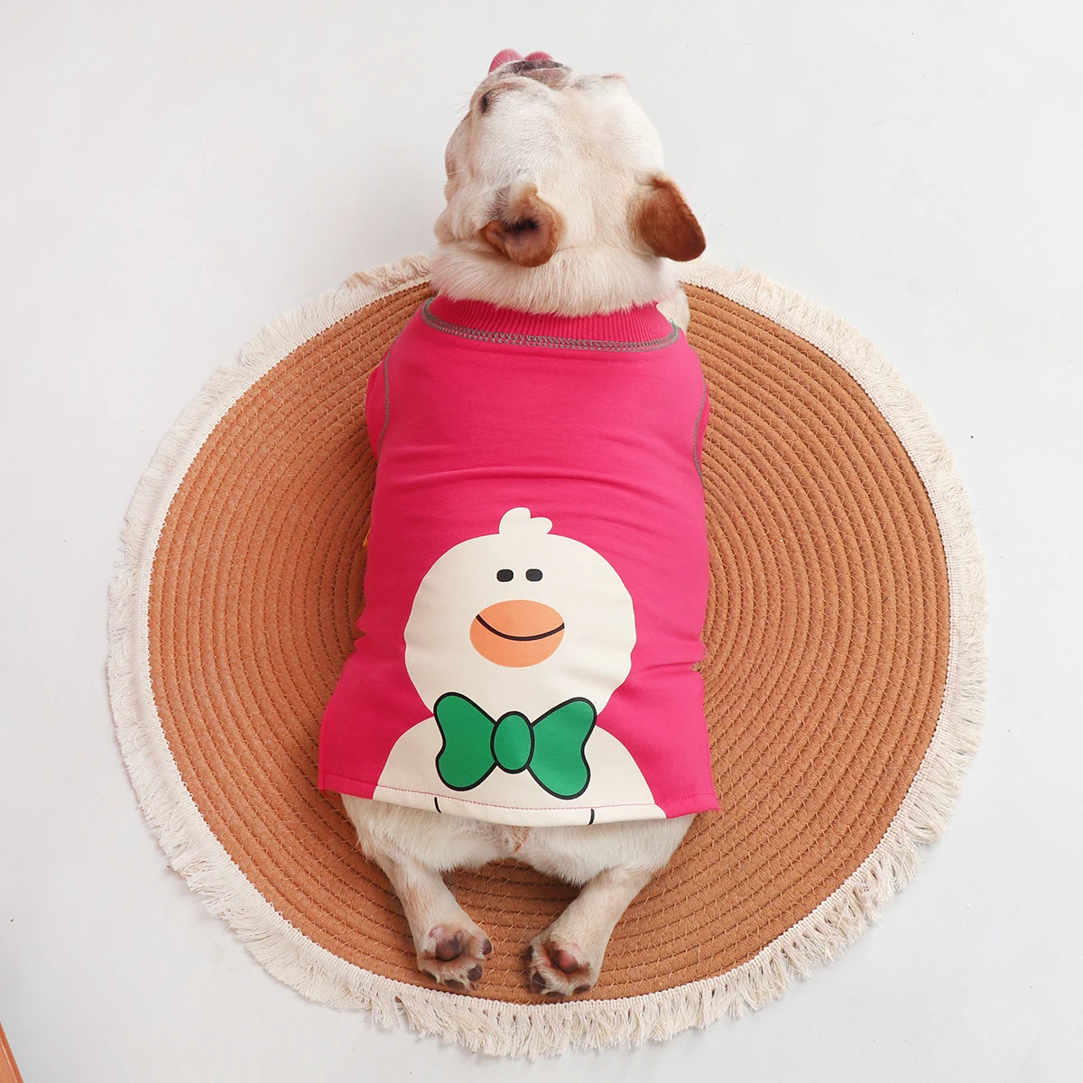 秋用デザイン犬服：小型犬向け薄手タイプの寒さ対策に最適な選択肢
