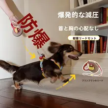 小型犬用 胸付リード【爆発防止・耐久性あり・ペットの散歩に最適】