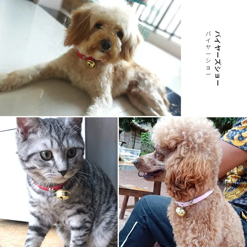 hipidog エリザベスカラーは中小型犬に最適なファッションアイテム