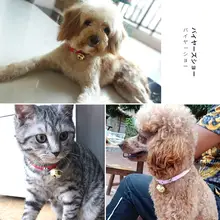 hipidog 犬猫用ペットカラー【エリザベスカラー・中小型犬対応】