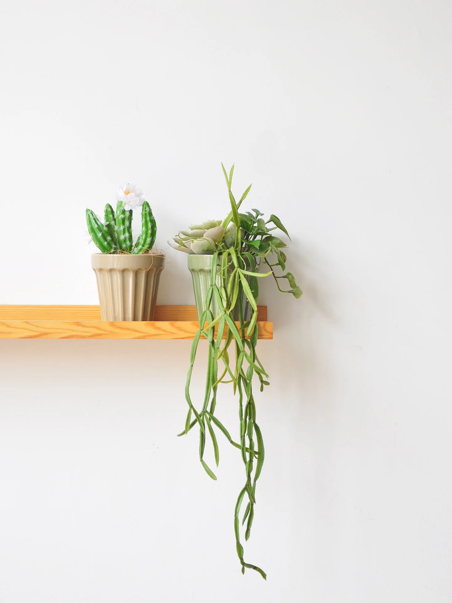 インテリア買い物リストの完全ガイド｜IKEAと無印良品の違いから自然風植物選びまで
