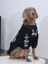 大型犬用 秋冬用セーター【ラブラドール・ゴールデン・ボーダーコリー・丸首・裏起毛】