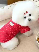 春用のドット柄フリル付きペット衣服【背心＆スカートデザイン・小型犬用】（セットアップ対応）