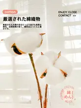 フィットシーツ キッズ ガールズ 綿100% シングル ガーリー 可愛い 学生 一人暮らし