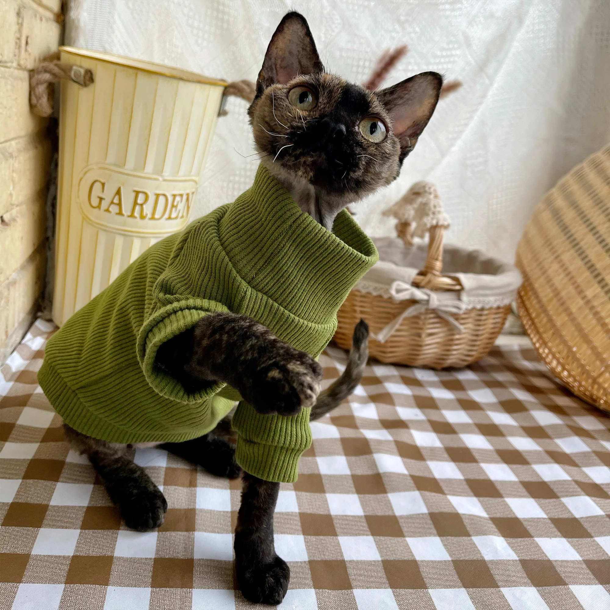 猫飼いが買ってよかったもの・悪かったもの正直に言う｜スフィンクス向け厚手ハイネックセーターの徹底解説