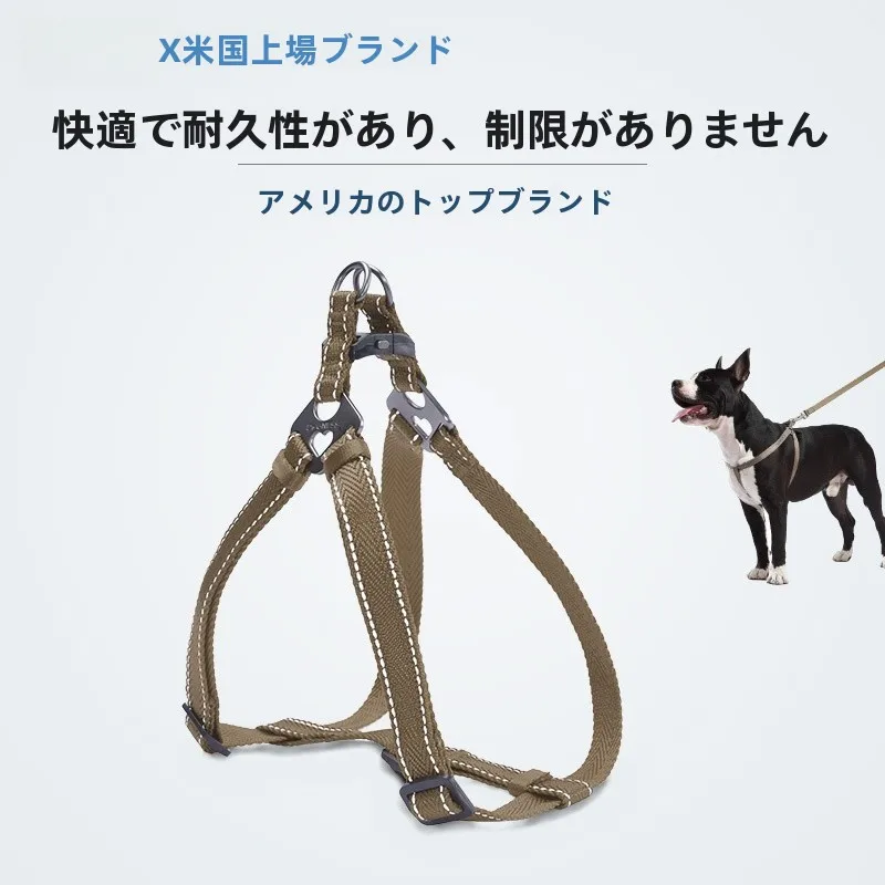 犬のお散歩グッズをコスパ良く揃える方法 - 胸掛け式リードのサイズ・タイプ・色の選定基準