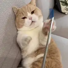 猫用マッサージスティック【伸縮式・かゆみ解消・遊び用おもちゃ】