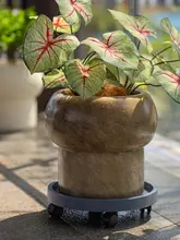 高級感漂うマグネシウム製植木鉢【リビング用・通気性・大きな観葉植物用】