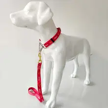 中型大型犬用 犬用首輪とリード【毛を挟まないデザイン】