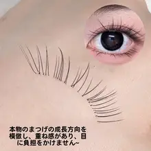 自然で透き通る！猫ひげデザインの仮まつげ【スラントタイプ・分割式・女性用】