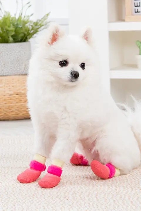 防水犬用靴下【滑り止め付き・柔らかな底・汎用性が高い】