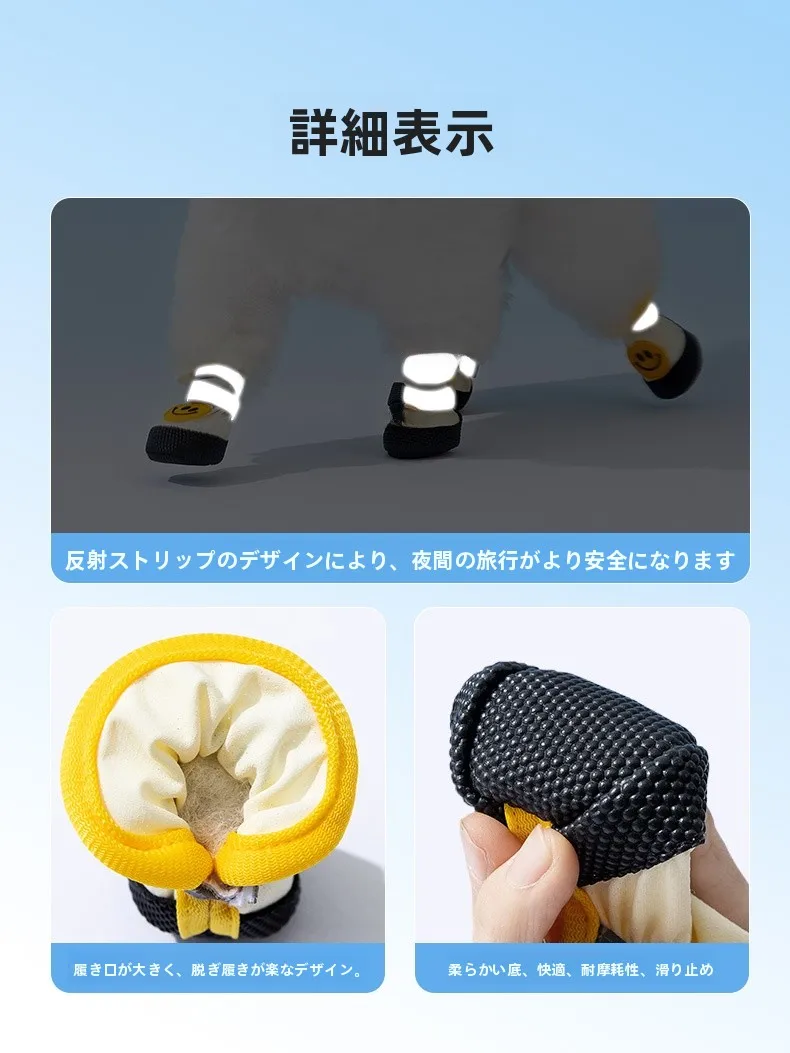 ペットと過ごすおうち時間を快適にするため、どんなシューズがおすすめ？