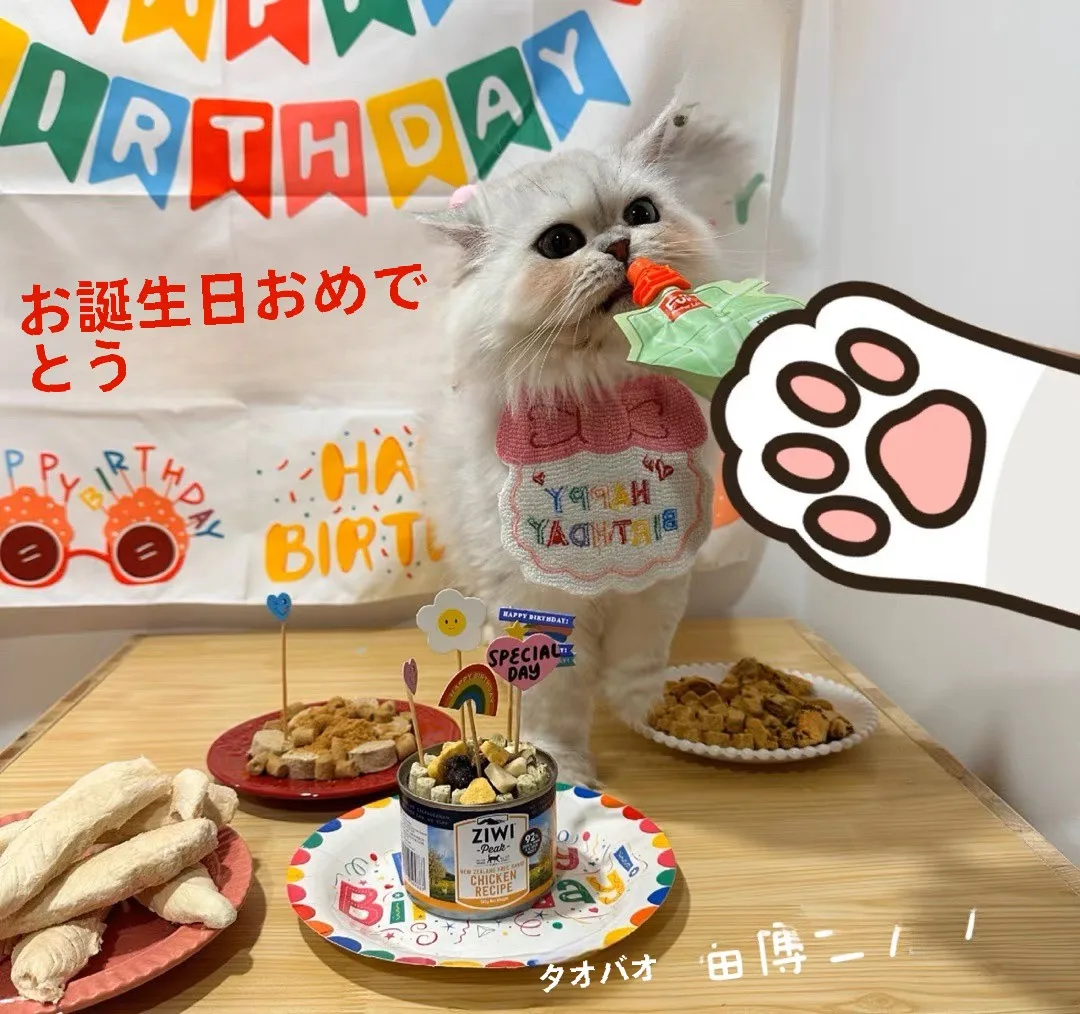 ペットの誕生日をもっと特別にするには？オリジナル帽子の選び方と活用法