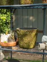 ユニークな苔風セメント製植木鉢【大口径・通気性・屋外庭園用・アートデコレーション】