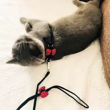 小型犬用ハーネス【胸付き・猫用リード・テディベアスタイル】