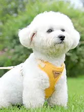 犬用 散歩用リード【夏用・ミニチュア・小型犬・ハーネス付き】